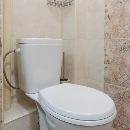 The Right Choice 6 소피아